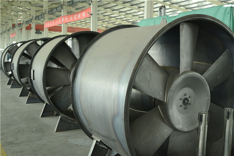 _A010200.jpg _A010200.jpg